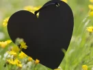 coração preto no meio de flores amarelas