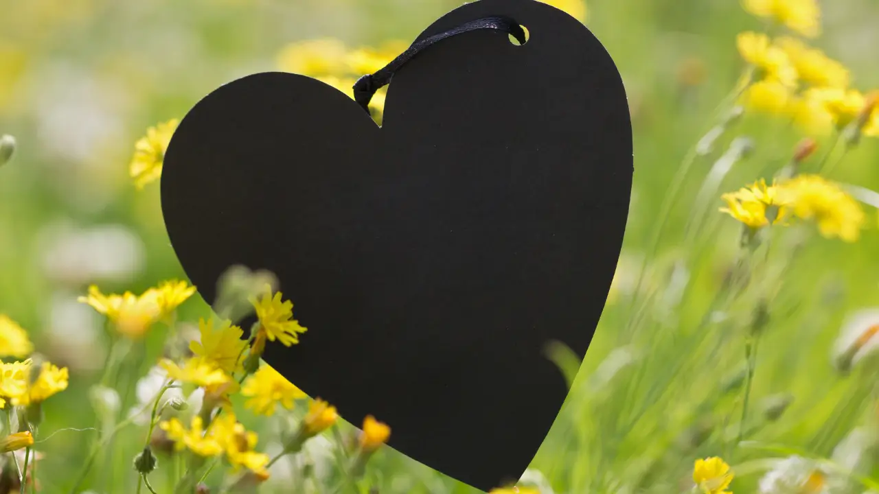 coração preto no meio de flores amarelas
