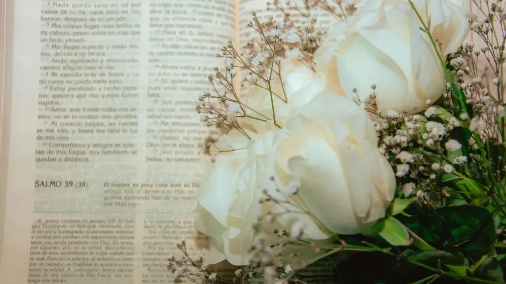 Bíblia aberta mostrando versículos de esperança para mulheres na menopausa 